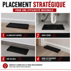 Emplacements conseillés pour positionner l'attrape-rats Catchmaster 48RB dans la maison