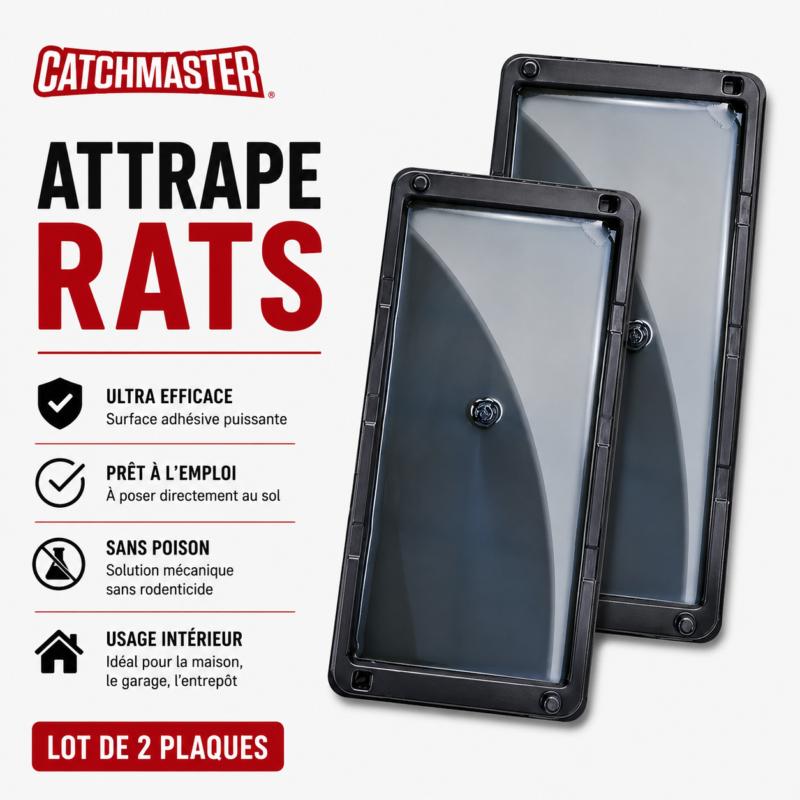 Attrape-rats Catchmaster 48RB à colle ultra puissante, lot de 2 plaques sans rodenticide