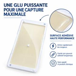 Plaque adhésive Catchmaster 48WRG pour rats et souris spéciale basses températures