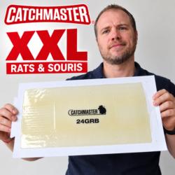 Plaque de glu XXL Catchmaster 24GRB MaxCatch tenue en main pour montrer sa grande taille