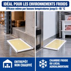 Piège à glu Catchmaster 48WRG placé le long d'un mur dans un entrepôt non chauffé et une chambre froide