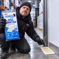 Piège à glu Catchmaster 48WRG installé le long d'un mur dans un entrepôt froid