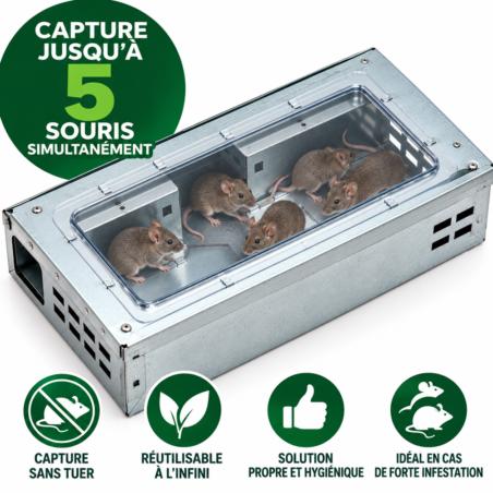 Piège à souris sans tuer (multi capture, multiprise)