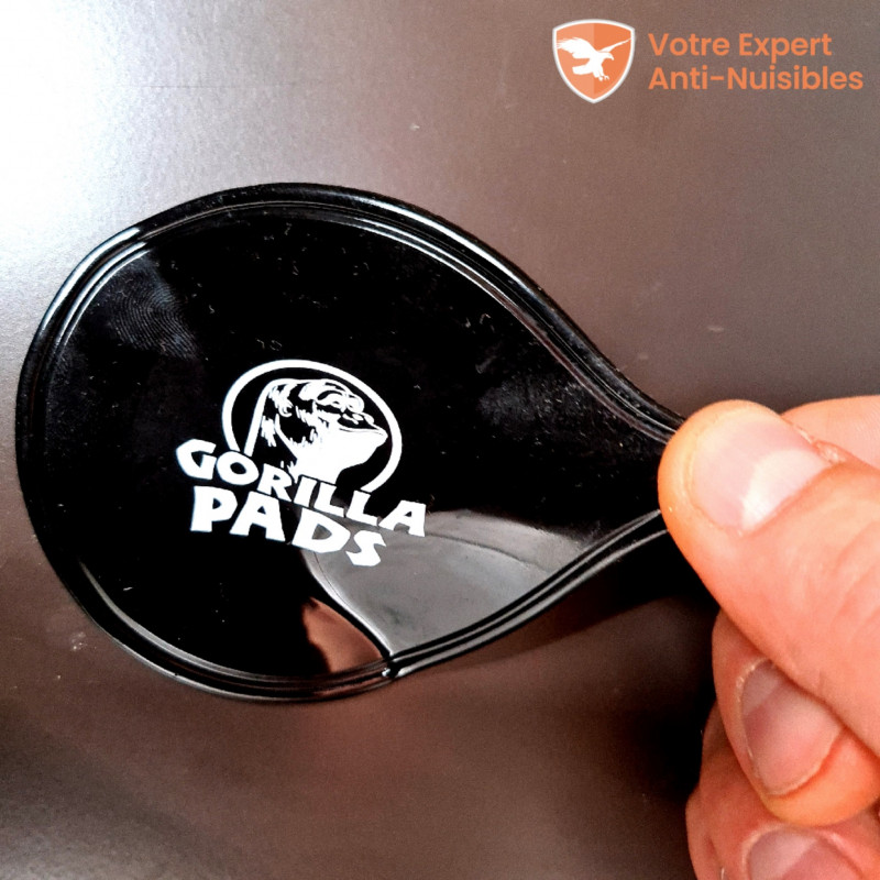 Gorilla Pads® collant pour punaises de lit Avis, prix