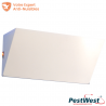 Chameleon® Uplight blanc