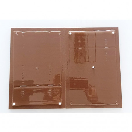 Plaque de glue professionnelle en bois pour rats et souris (lot de 2)