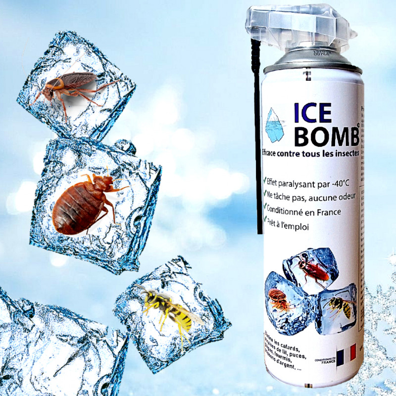 La bombe de froid ICE BOMB tue les insectes par un froid à -40°C