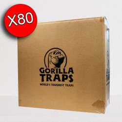 Carton du lot de 80 tapettes à rat Gorilla Traps transparente