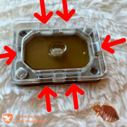 2 Pièges à Puces Lumineux Avec 4 Autocollants De Rechange - Sans Produit Chimique, Inodore - Pour Maison, Appartement, Animaux