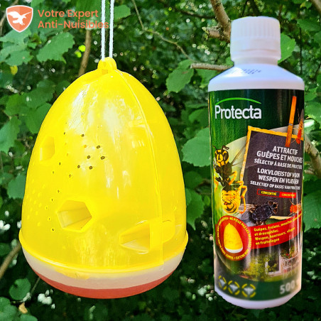 Piège à guêpes & frelons asiatiques professionnel VESPA TRAP + Attractif 500ml