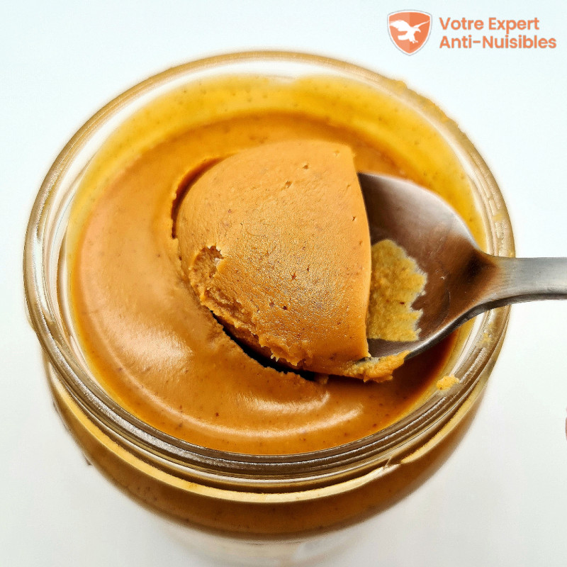 Beurre de cacahuètes pour rats & souris (pot de 350 gr)