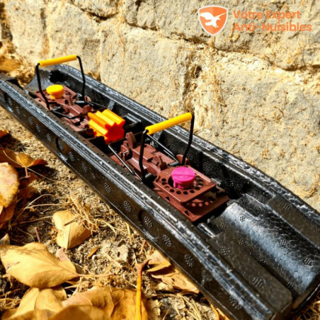 RUNBOX® Robust, tunnel de capture pour souris avec appât et piège