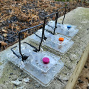 Lot de 3 tapettes à rat transparentes Gorilla Traps® + 3 appâts Nara OFFERTS