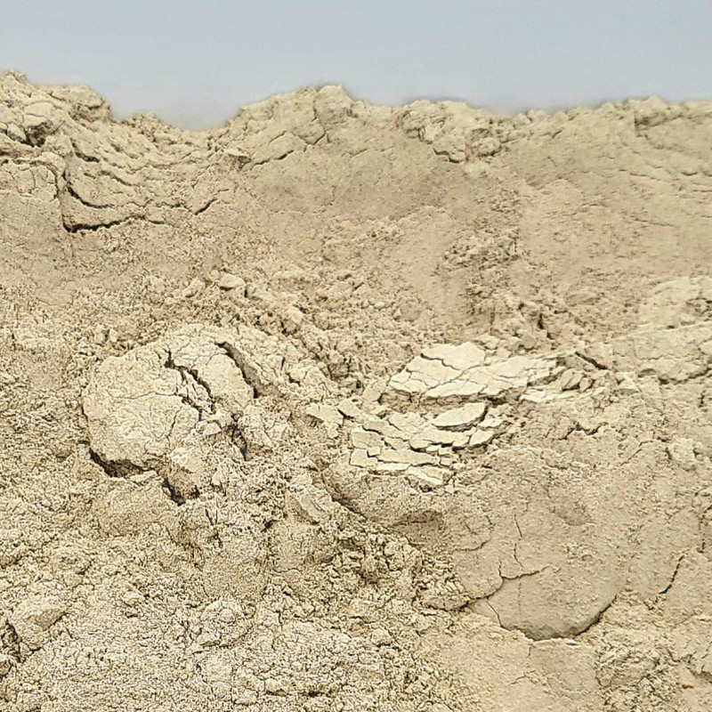 Pulvérisateur De Jardin De 2 Litres, Pulvérisateur à Pompe Manuelle