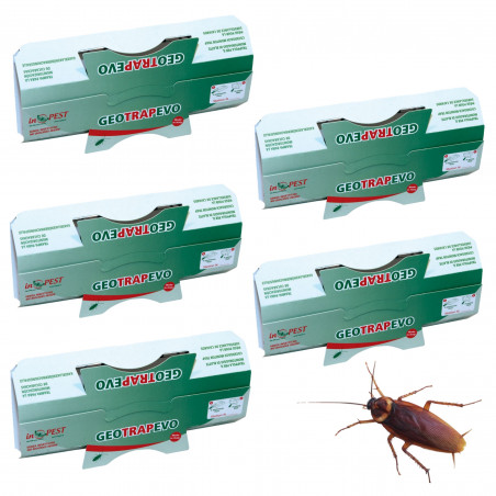 Géotrap EVO, piège à phéromones et à glu anti cafard (lot de 5)