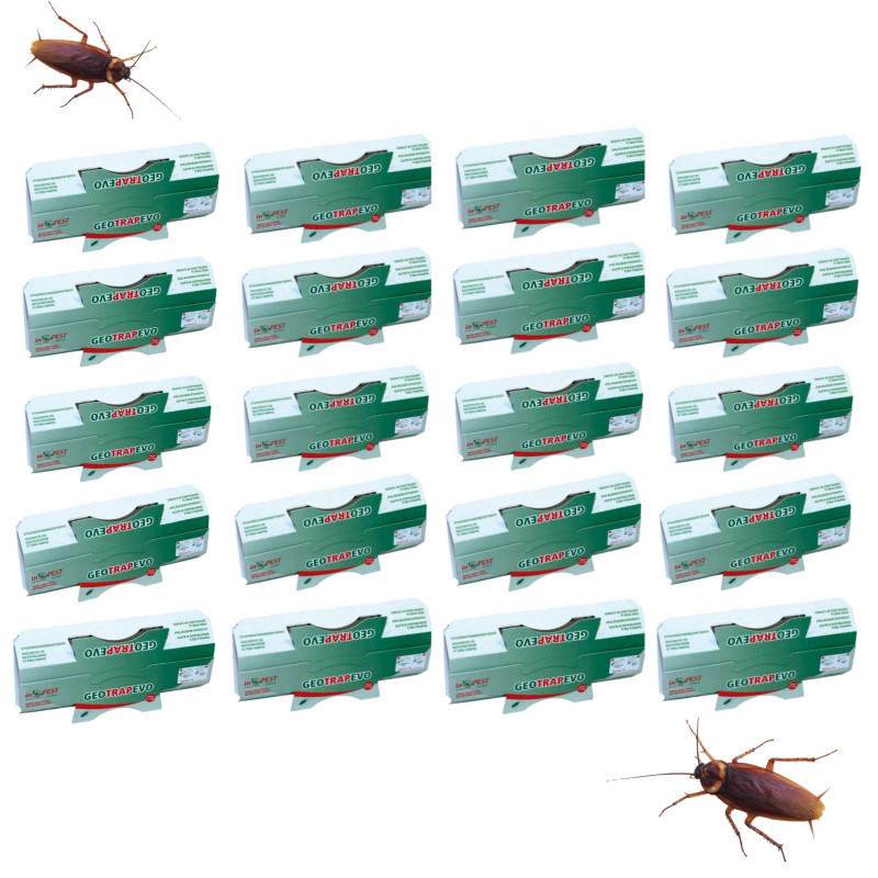 Piège blattes à grande capacité Blattathor - PG Distribution