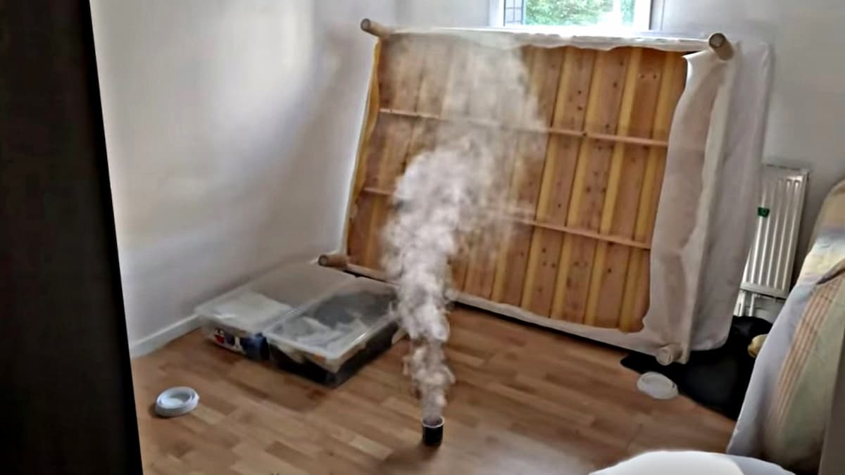 Fumigène en action dans une chambre contre les punaises de lit