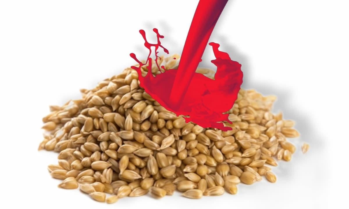Colorant alimentaire déversé sur du blé empoisonné anti rat et souris