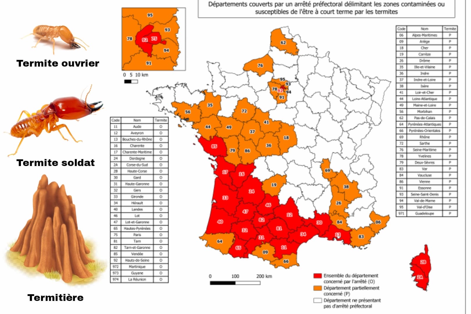 Carte des départements français contaminés par les termites