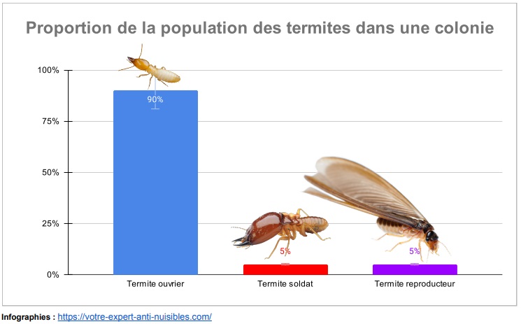 Proportion de la population des termites dans une colonie