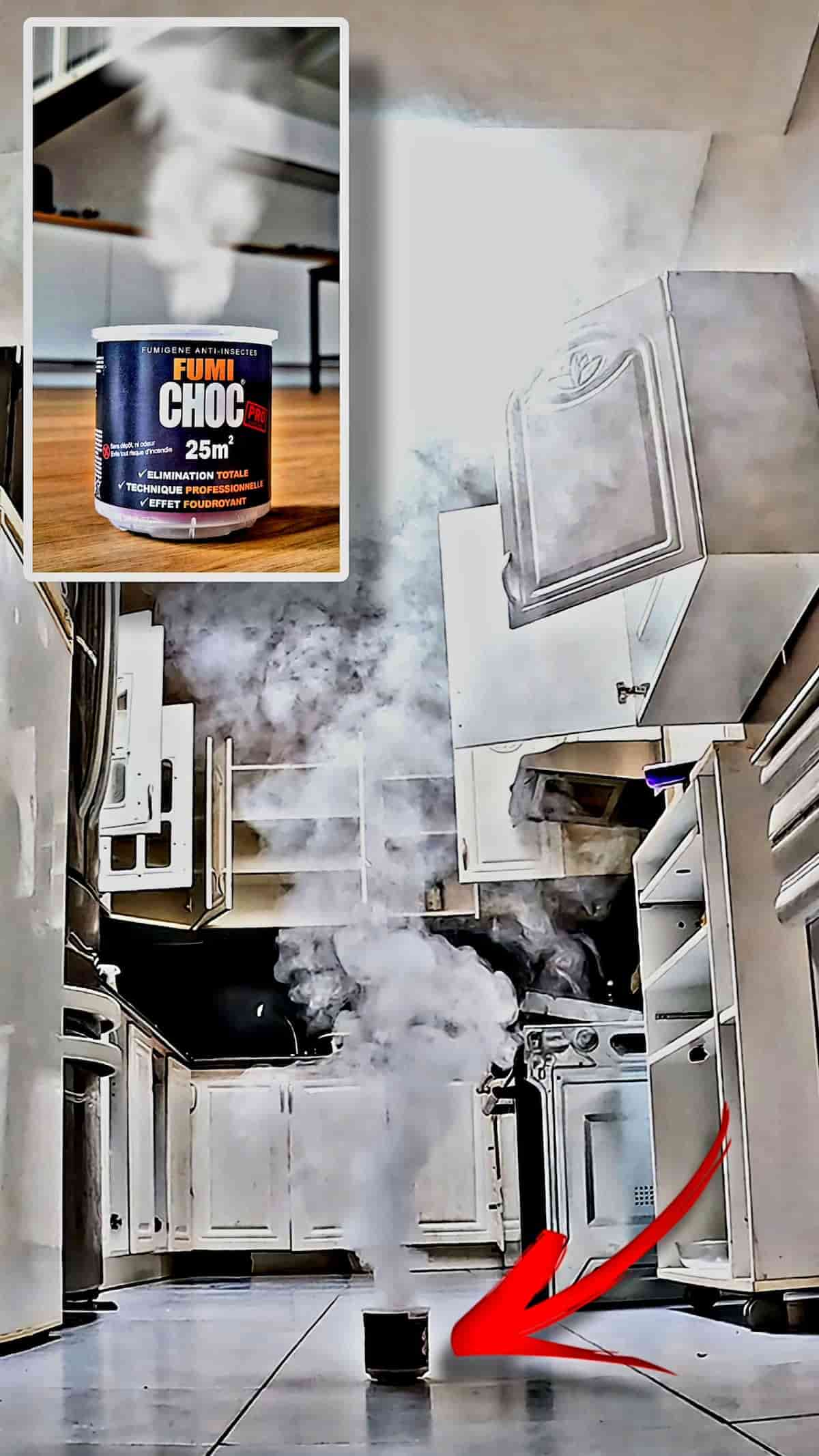 Dispersion de la fumée du FUMICHOC CAFARD dans une cuisine