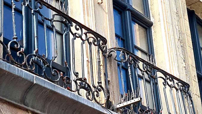 Balcon protégé par des pics anti-pigeons