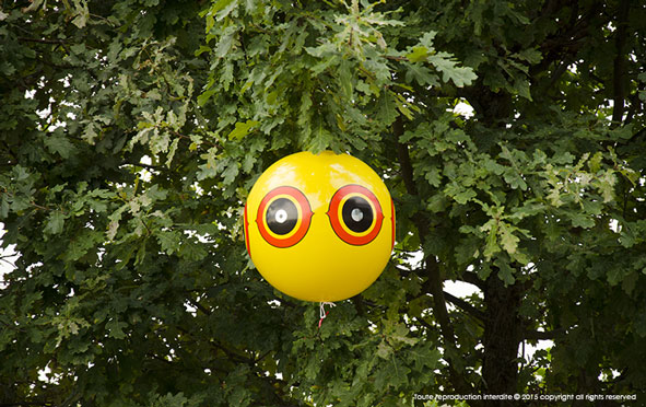 Ballon répulsif anti-volatiles jaune de 40 cm PREDATOR® accroché dans un arbre fruitier