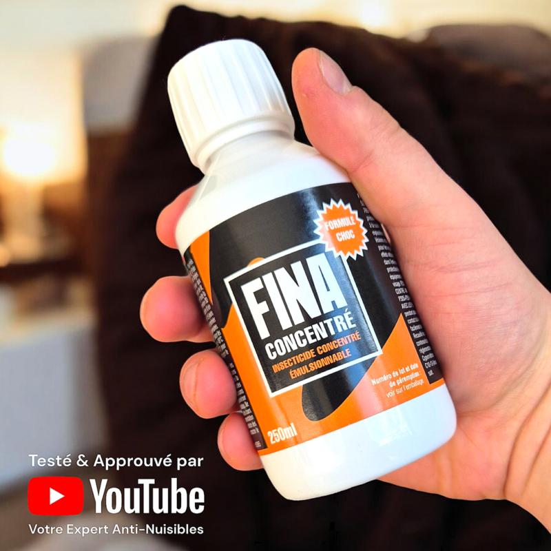 Insecticide FINA concentré anti puces