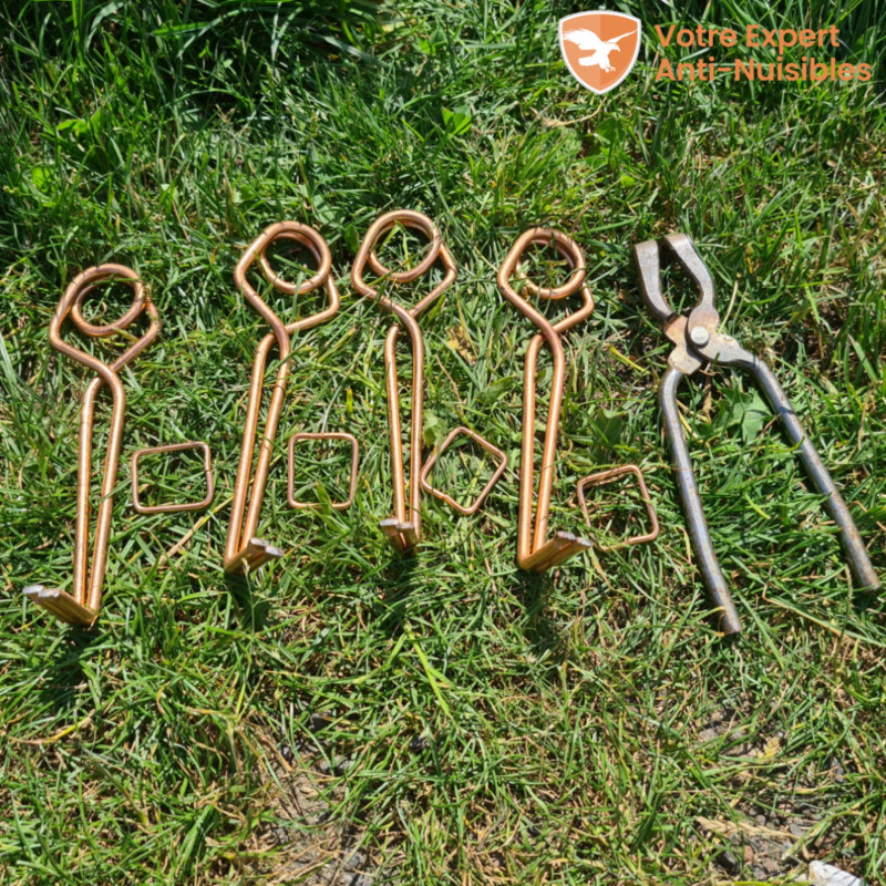 piège à taupe putange