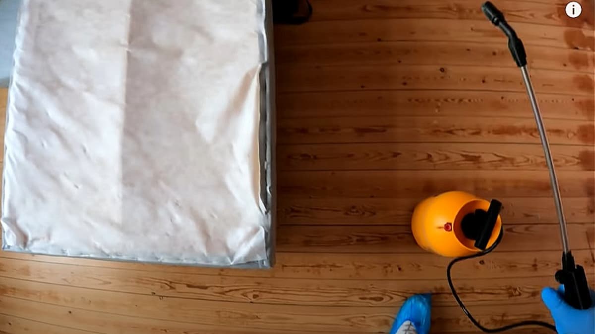 Pulvérisation d'un insecticide contre les punaises de lit dans une chambre