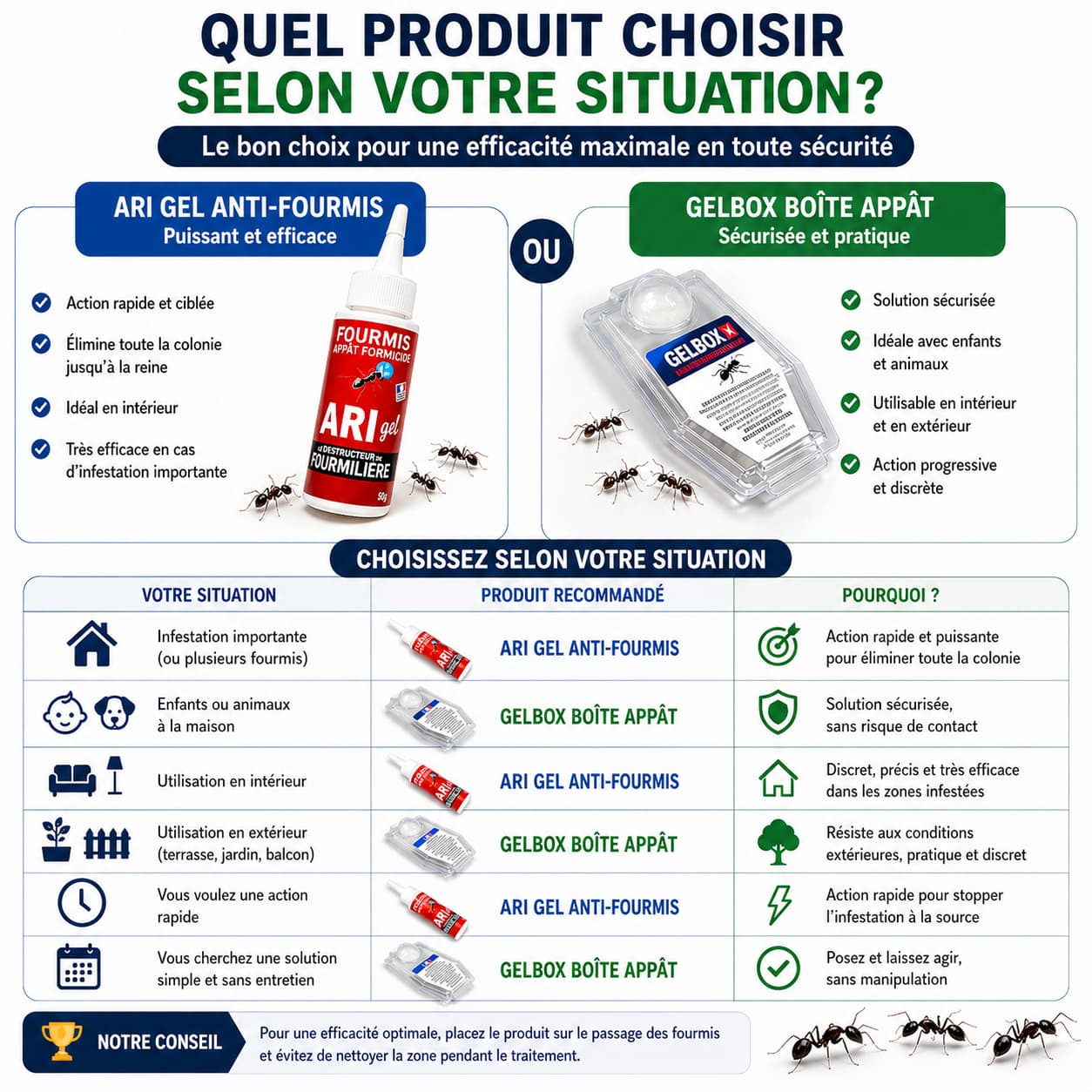 Gel anti fourmis ou boîte appât : tableau comparatif de situations pour savoir lequel choisir