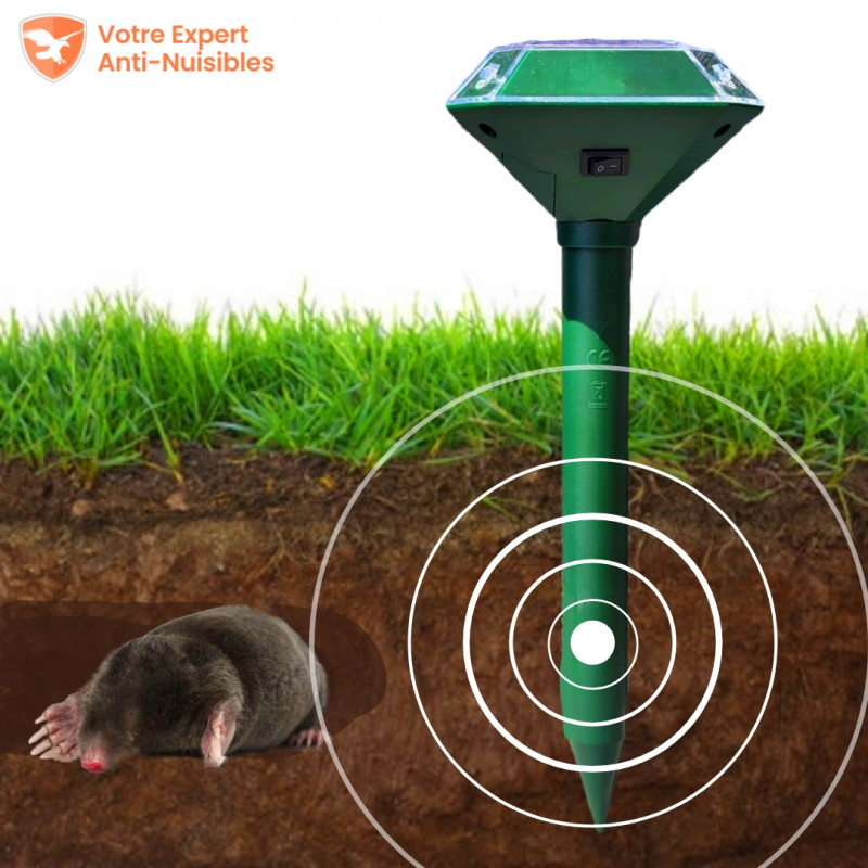 Les vibrations repoussent les taupes