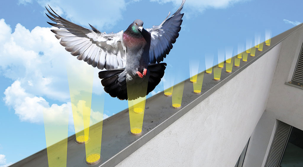 Protection anti pigeons - nuisible pour balcon terrasse longueur
