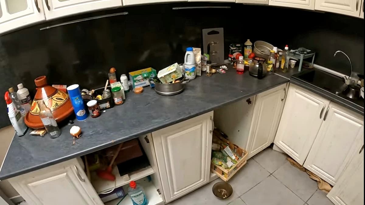 Cafard & hygiène : y a-t-il un lien évident ?