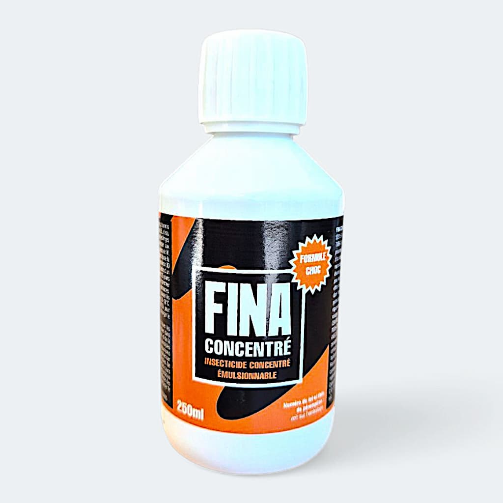 Quel est le produit le plus efficace pour tuer les puces ?