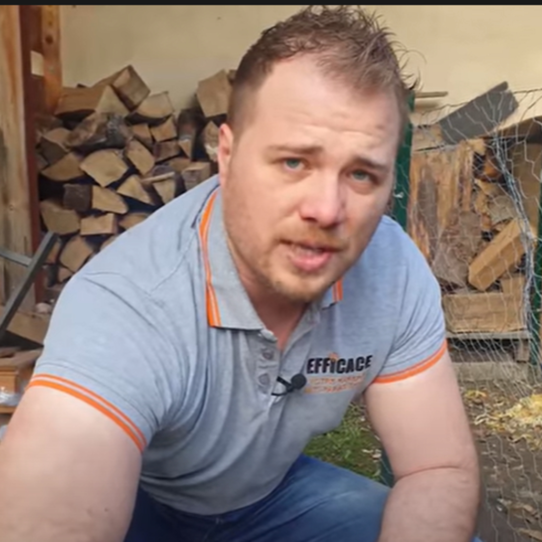 Comment se débarrasser des rats dans un poulailler ?