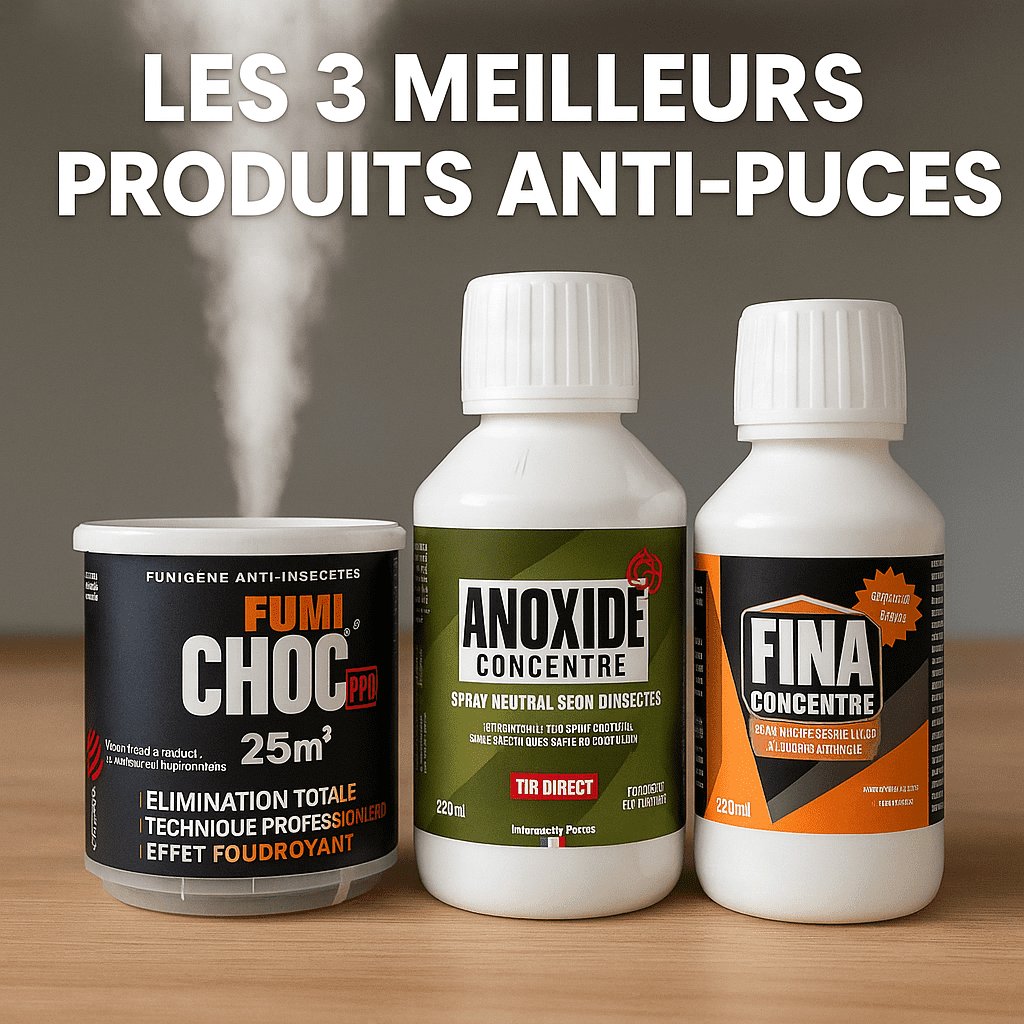 Produit anti puce pour la maison : le top 3 de notre expert !